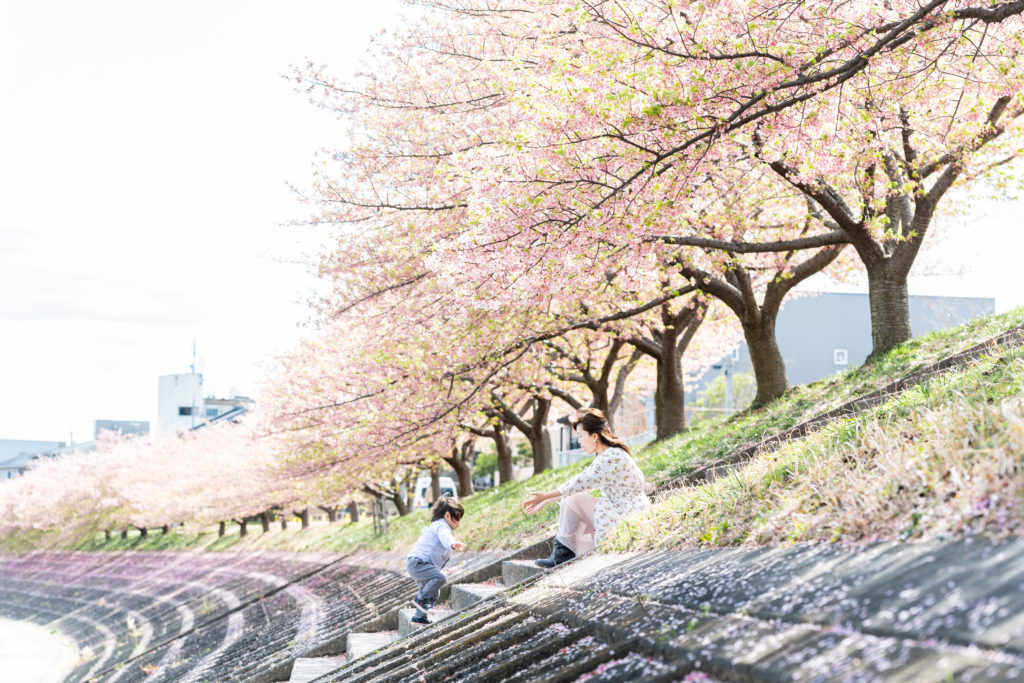 乙川の河津桜で撮影したロケーションフォト
