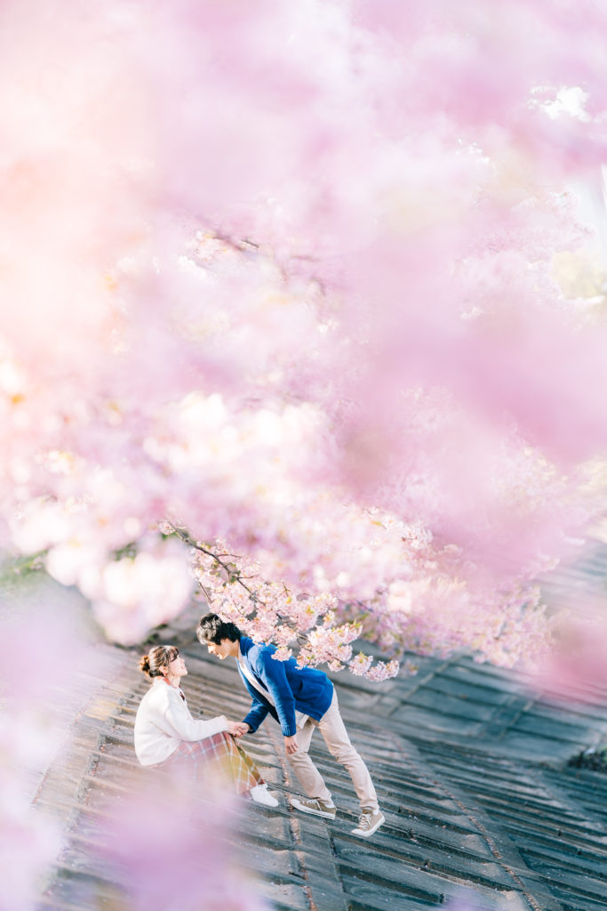 乙川の河津桜で撮影したロケーションフォト